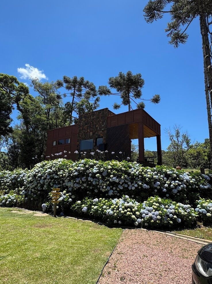 Ropa de cama hipoalergénica, wifi gratis y ropa de cama 