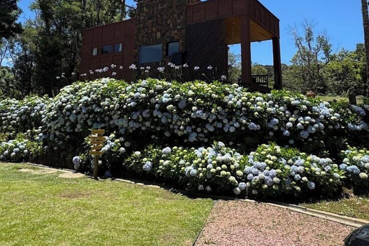 Ropa de cama hipoalergénica, wifi gratis y ropa de cama