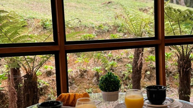 Une table de petit-déjeuner avec des fruits, du jus de fruits et une vue sur une forêt, visible à travers de grandes fenêtres.