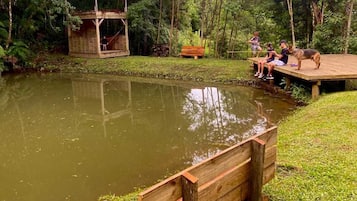 Vista da propriedade
