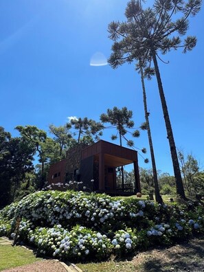 Deluxe Double Room, 1 Katil Raja (King), Mountain View | Peralatan tempat tidur hipoalergenik, ruang kerja komputer riba 