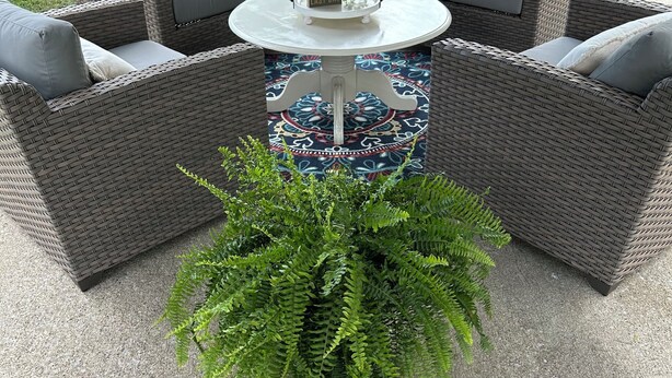 Uma área de pátio com móveis de vime, uma mesa e uma planta decorativa.
