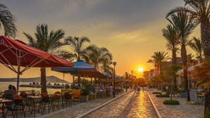 A paved walkway lined with outdoor seating and palm trees, leading to a sunset view.