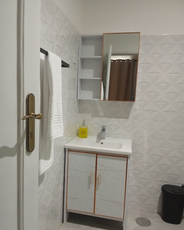 Douche, serviettes fournies, papier toilette