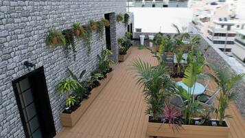 Rooftop terrace
