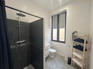 Shower, hair dryer, towels, toilet paper