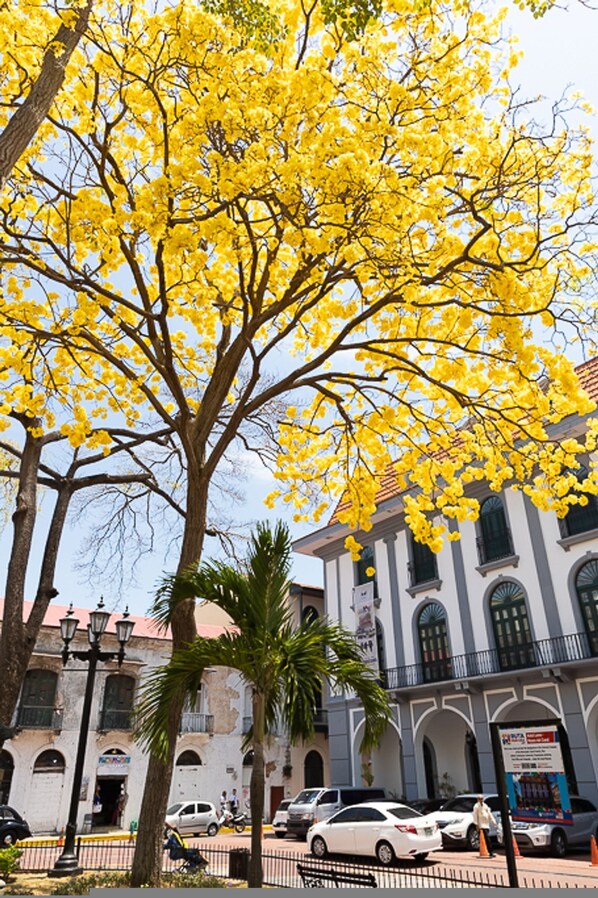 Apartment | 2 Schlafzimmer