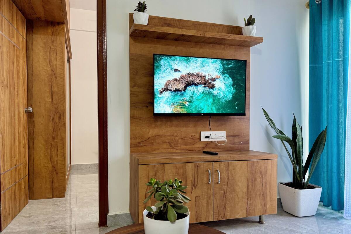 Un mueble de madera con televisor, una planta en maceta y un armario.