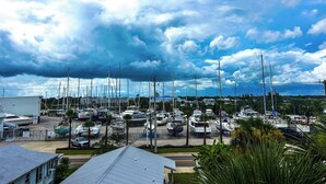Un puerto deportivo con varias embarcaciones amarradas, rodeado de edificios y palmeras.