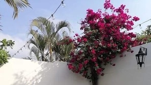 Un patio con un tavolo e sedie in ferro battuto bianco, circondato da un muro bianco e un albero in fiore.