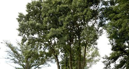 #3 Beaver Creek Cabin