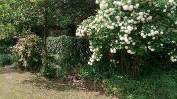 Vila | 3 kamar tidur