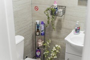 Chuveiro, secador de cabelo, toalhas de banho, sabonete