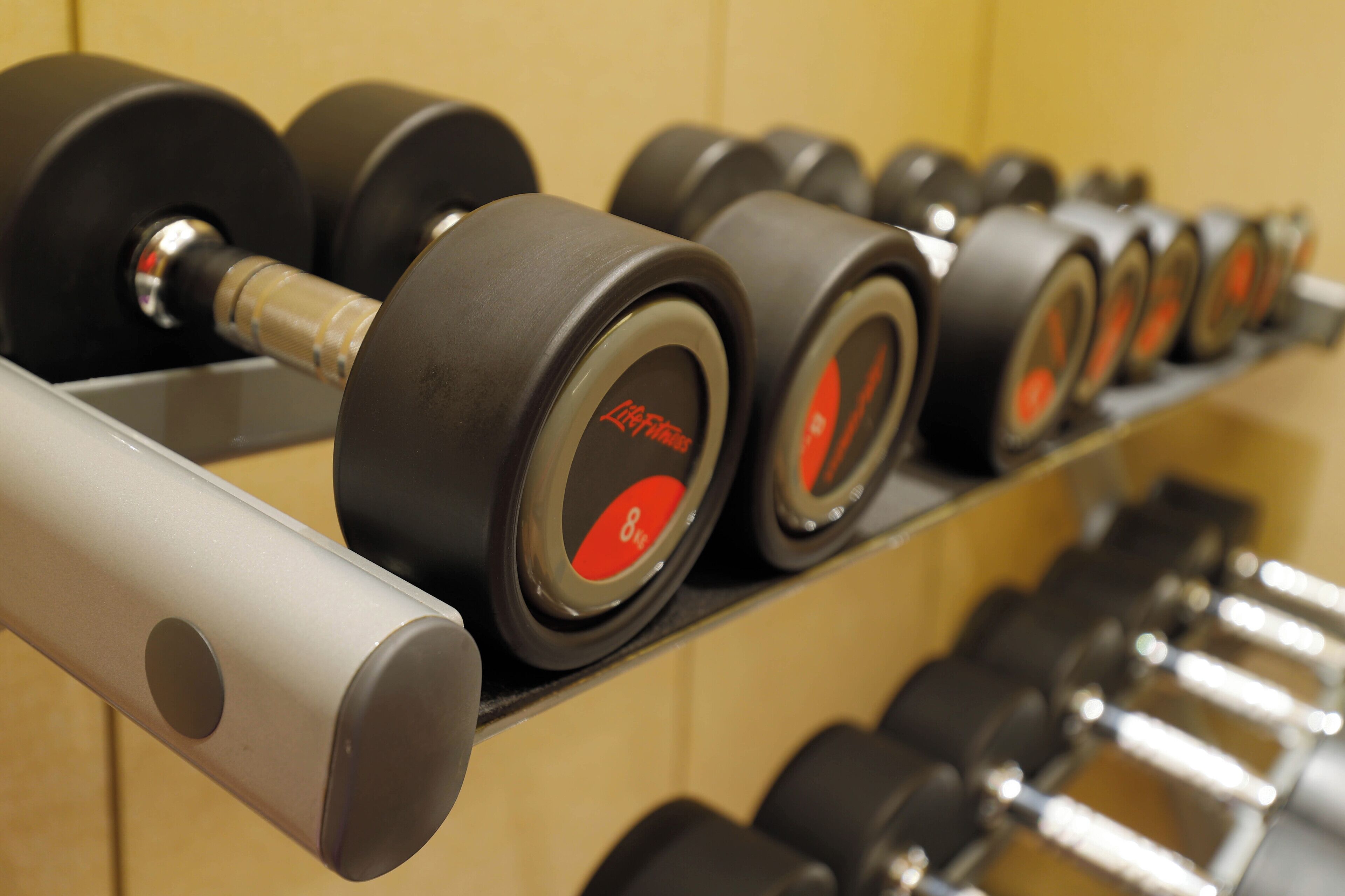 A rack of dumbbells with red and black weights, arranged in a row.