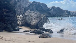 A rocky beach with waves crashing against the shore, clear skies, and a logo for 'Surf Shack Properties'. - Oceanfront Seaside Sanctuary Stunning Views w 2 Lanais Whales Watching Haven (Lahaina)