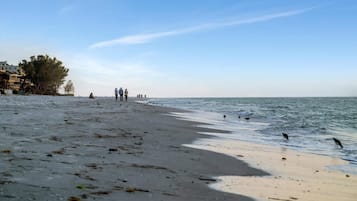 Sur la plage, serviettes de plage