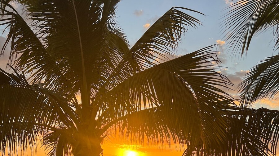 Beach Cottage 1212 in Indian Shores