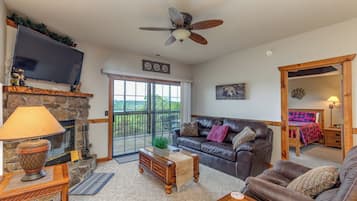 Smart TV, fireplace, DVD player, video library