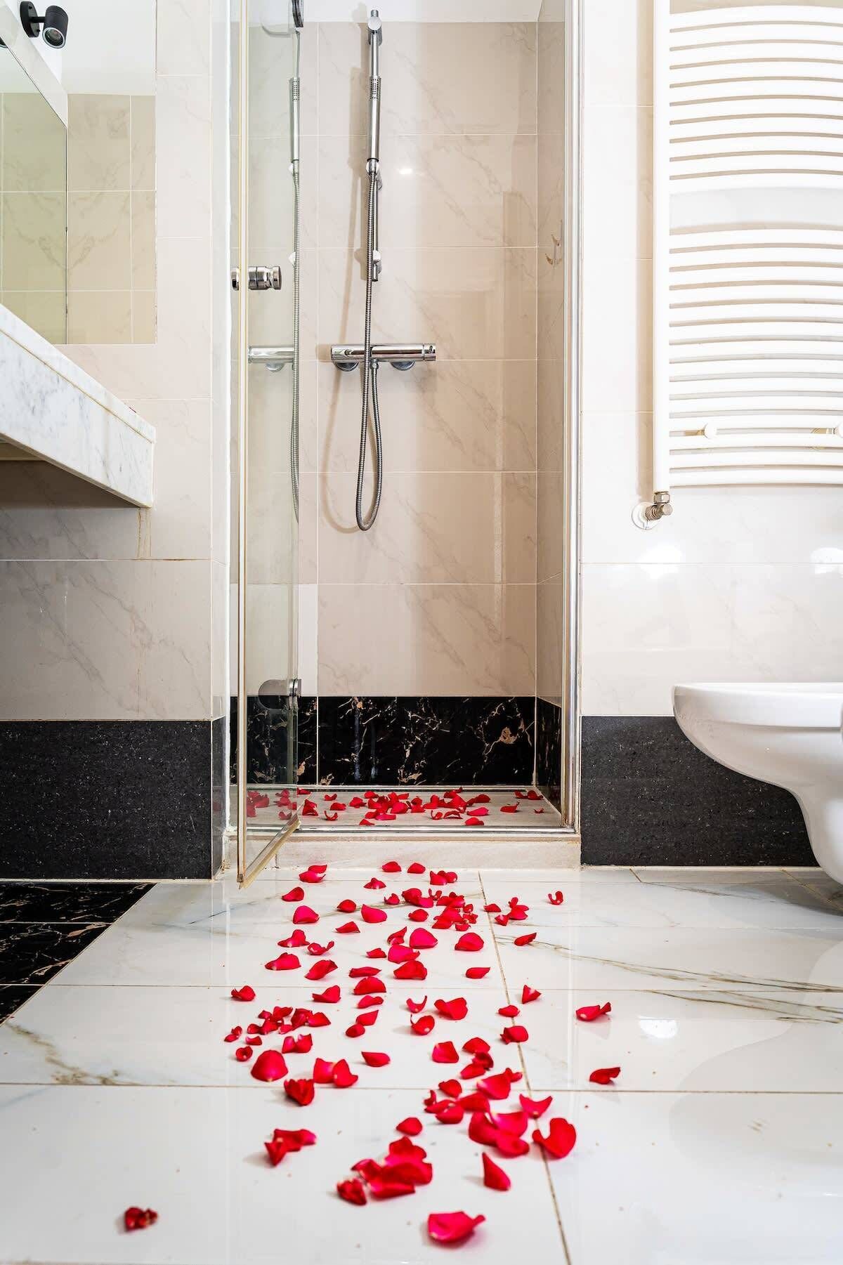 Shower, free toiletries, hair dryer