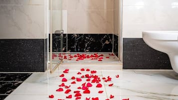 Shower, free toiletries, hair dryer