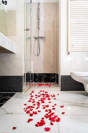 Shower, free toiletries, hair dryer