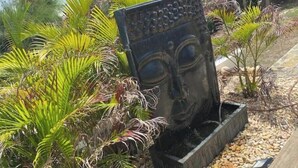 Exterior detail - Charming 2-bedroom house in welcoming Saint Martin with AC, WiFi (saint martin)