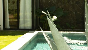 A swimming pool with a stone wall and a large aloe vera plant in the foreground. - Villa Uma • 50m to Zonte wave • 2Bdr (El Zonte)