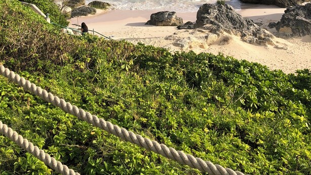 Ein Strand mit klarem türkisblauem Wasser, Felsformationen und üppiger Vegetation.