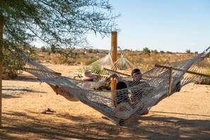 المنطقة المحيطة بالمنشأة