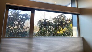 A room with a large window, a ceiling light, and a radiator.