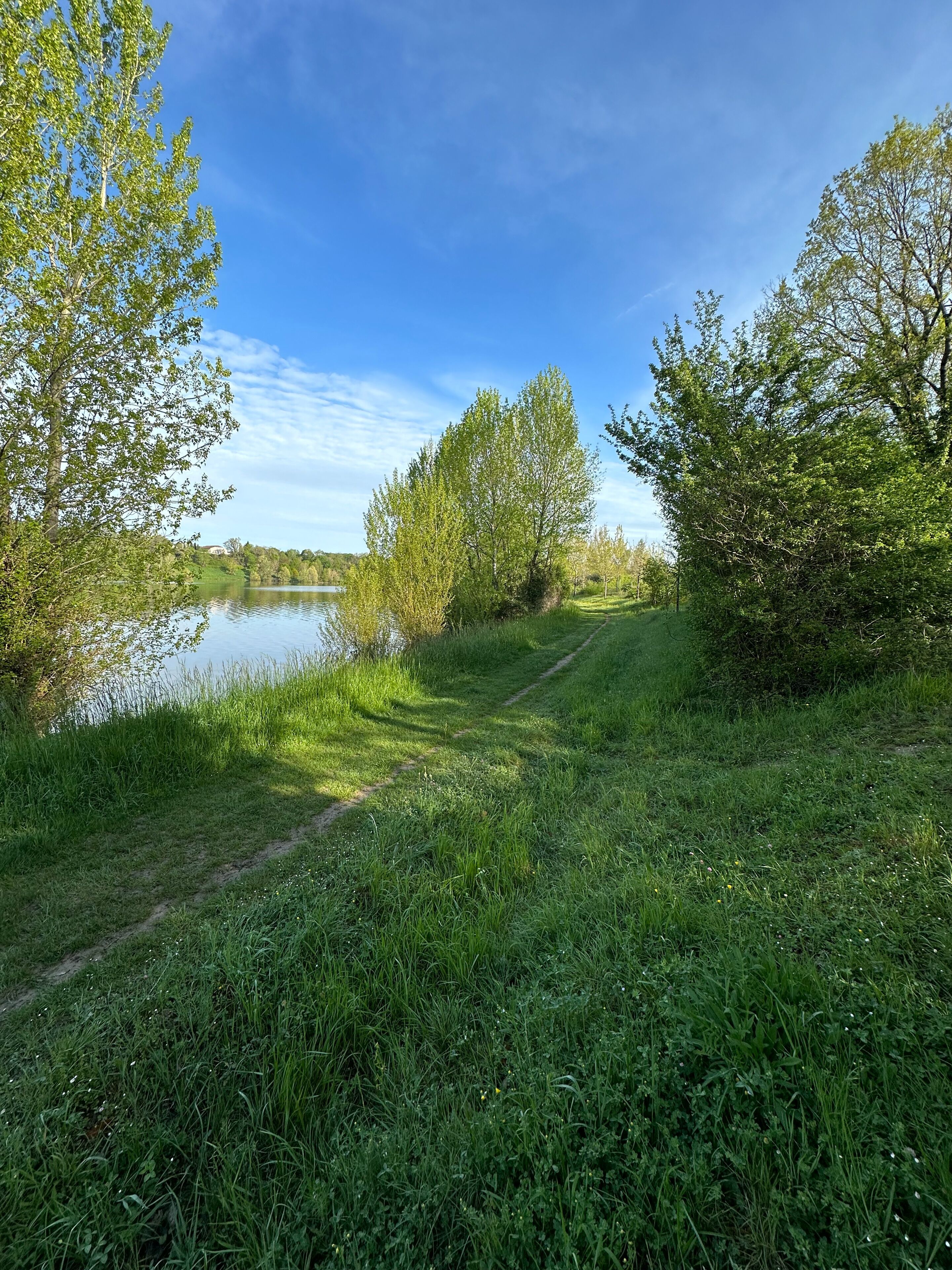 Un sentier bordé d’herbe longe un lac paisible, avec des arbres de chaque côté.