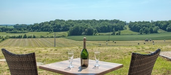 L'Annexe Coté Castagne du Domaine des Hauts de Rouquette