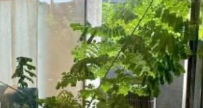 On the Island, luxury and peace space