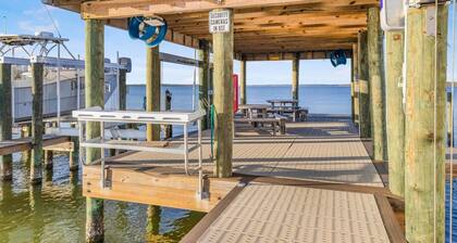 Bayview 55