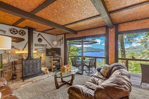 Smart TV, fireplace, DVD player, video library