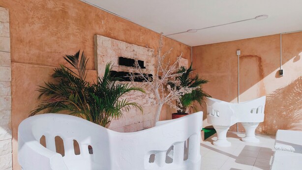 A modern interior with white plastic chairs, a potted plant, and a staircase against a textured wall. - Hotel Don Luis  (Valladolid)
