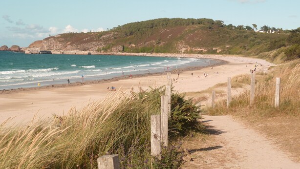 Una playa arenosa con un sendero de madera que lleva al agua, rodeada de dunas cubiertas de hierba y una colina con vegetación.