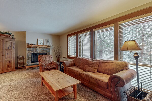 TV, fireplace, DVD player, books