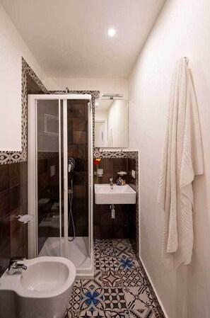 Regadera, secadora de cabello, bidet, toallas 