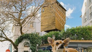 Une rue pavée, avec un chien au premier plan, un moulin à vent en bois et une enseigne de restaurant.