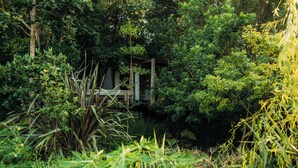 A secluded wooden cabin surrounded by dense greenery. - Phakalane Retreat (Cape Town)