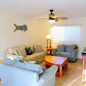 Smart TV, DVD player, video library