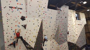 Un mur de paret per escalar, amb diferents punts d'agrupació i rutes.