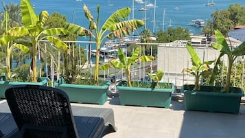 Rooftop terrace
