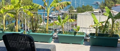 Terraza en la azotea
