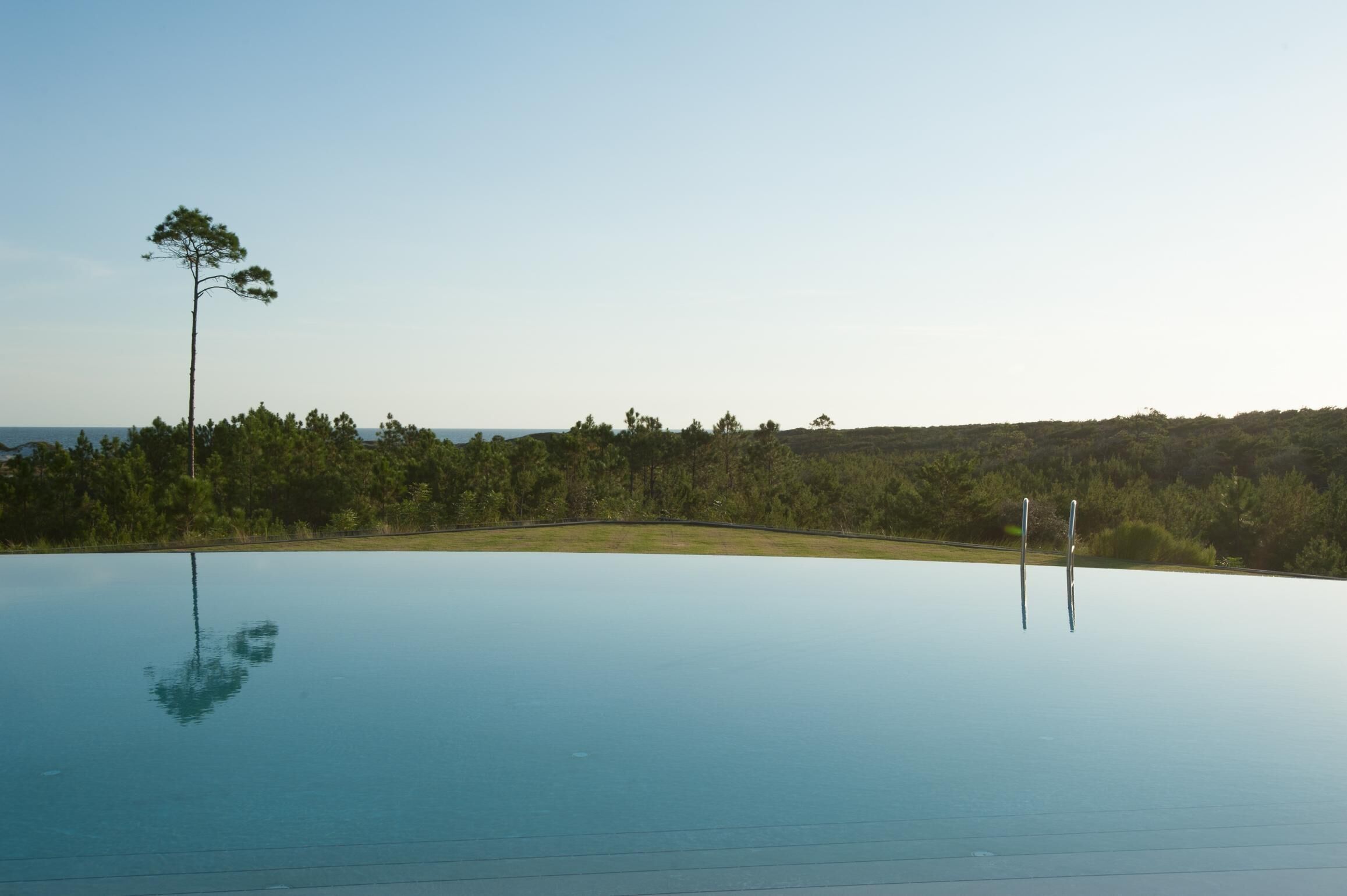 A large, clear swimming pool with a single tree and a distant forested area.