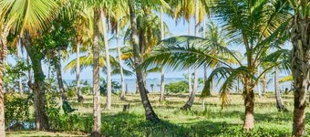 4 bedroom villa, facing the sea, with unspoilt beach and very quiet.