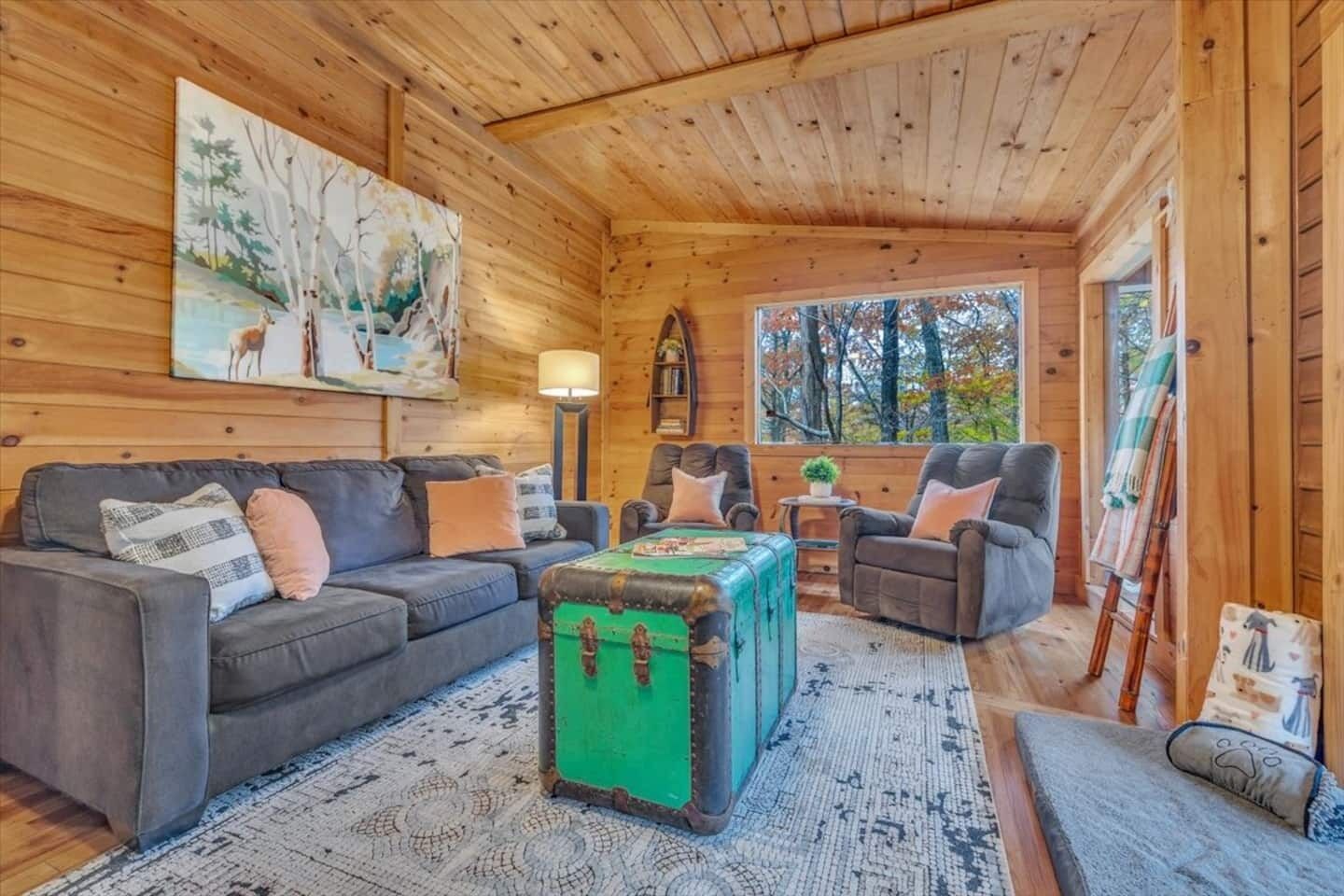 Smart TV, fireplace, video games, DVD player