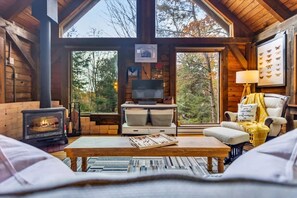 Smart TV, fireplace, video games, DVD player