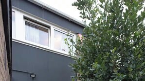 A building with a number 77 sign, a window with a view of the interior, and a tree in the foreground. - 3bedroom Sleeps8 Parking Familyfriendly Nearexcel (London)